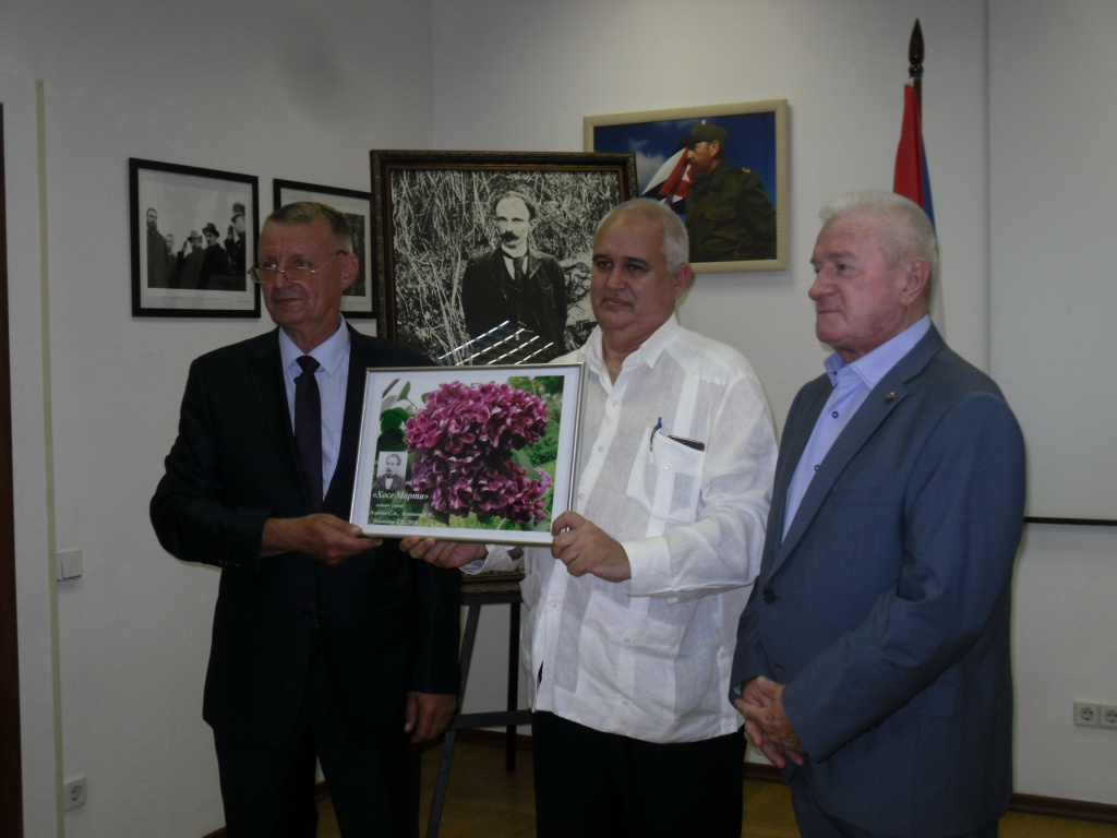 SDC12474.JPG